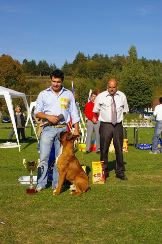www.boxer-show.eu